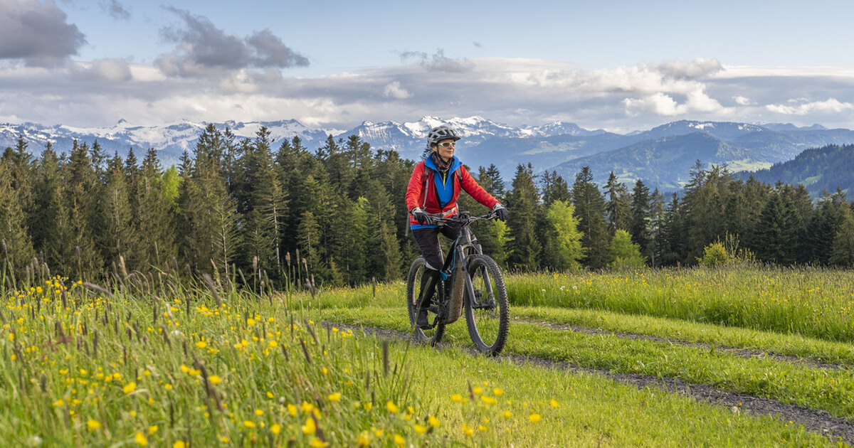 The Difference One Life Cycling Tours